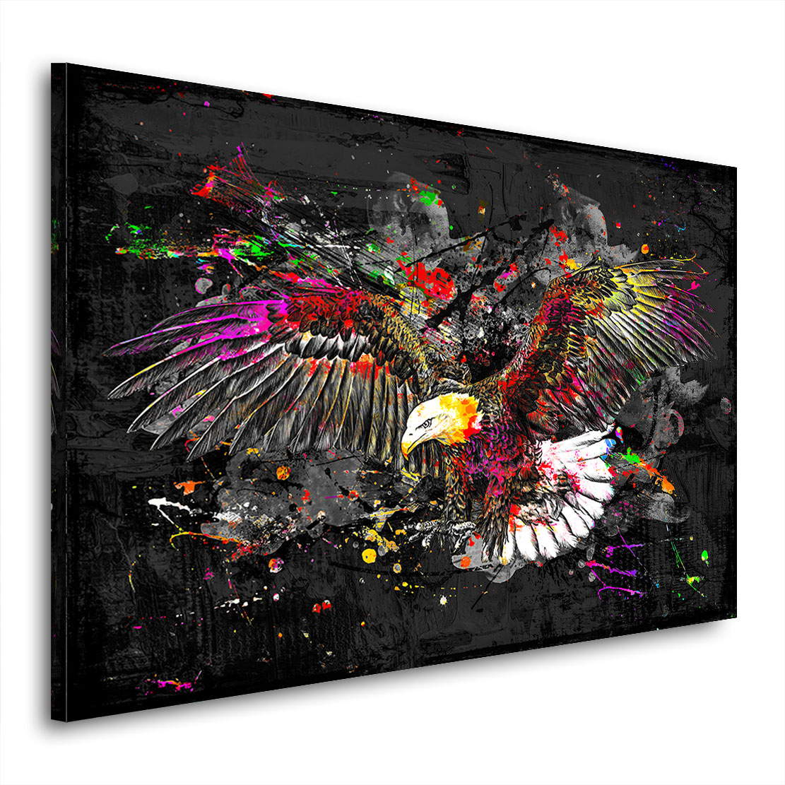Wandbild Adler Color