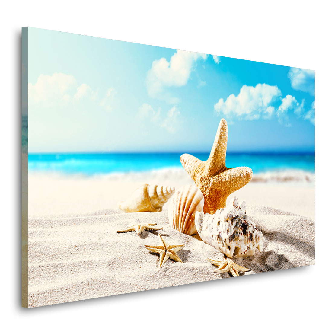 Wandbild Leinwandbild Seestern