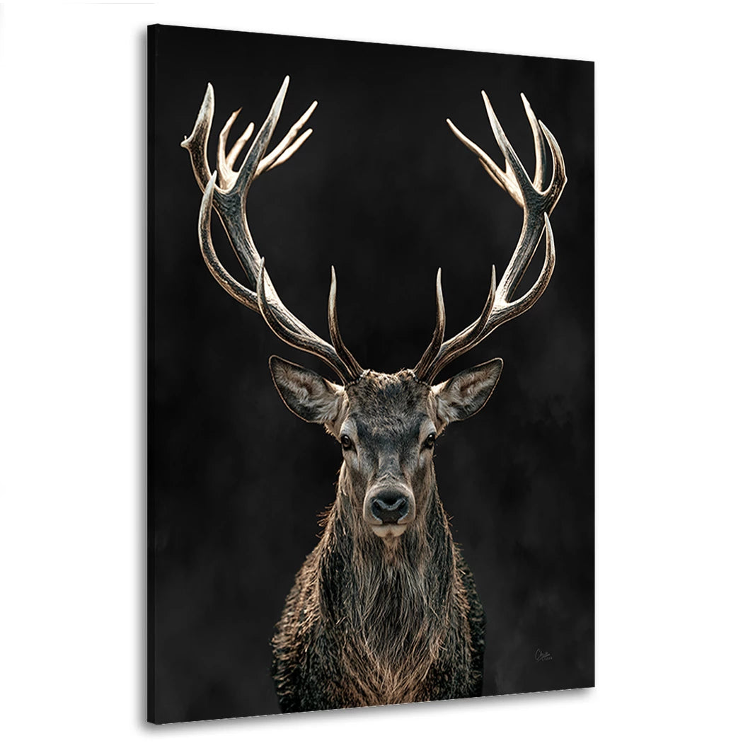Hirsch Black Edition Wandbild