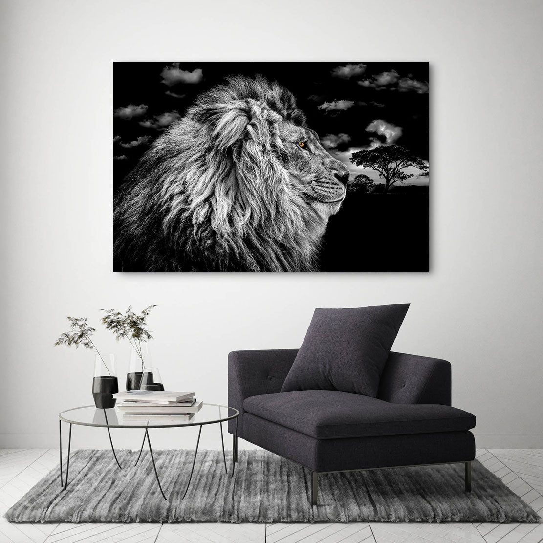 Wandbild Leinwandbild Löwe Desert