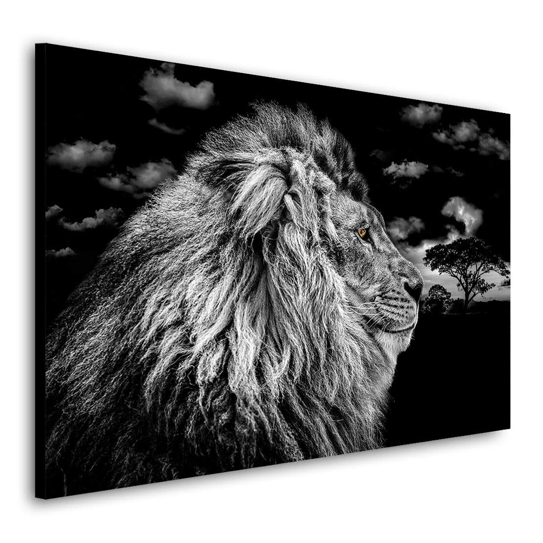 Wandbild Leinwandbild Löwe Desert