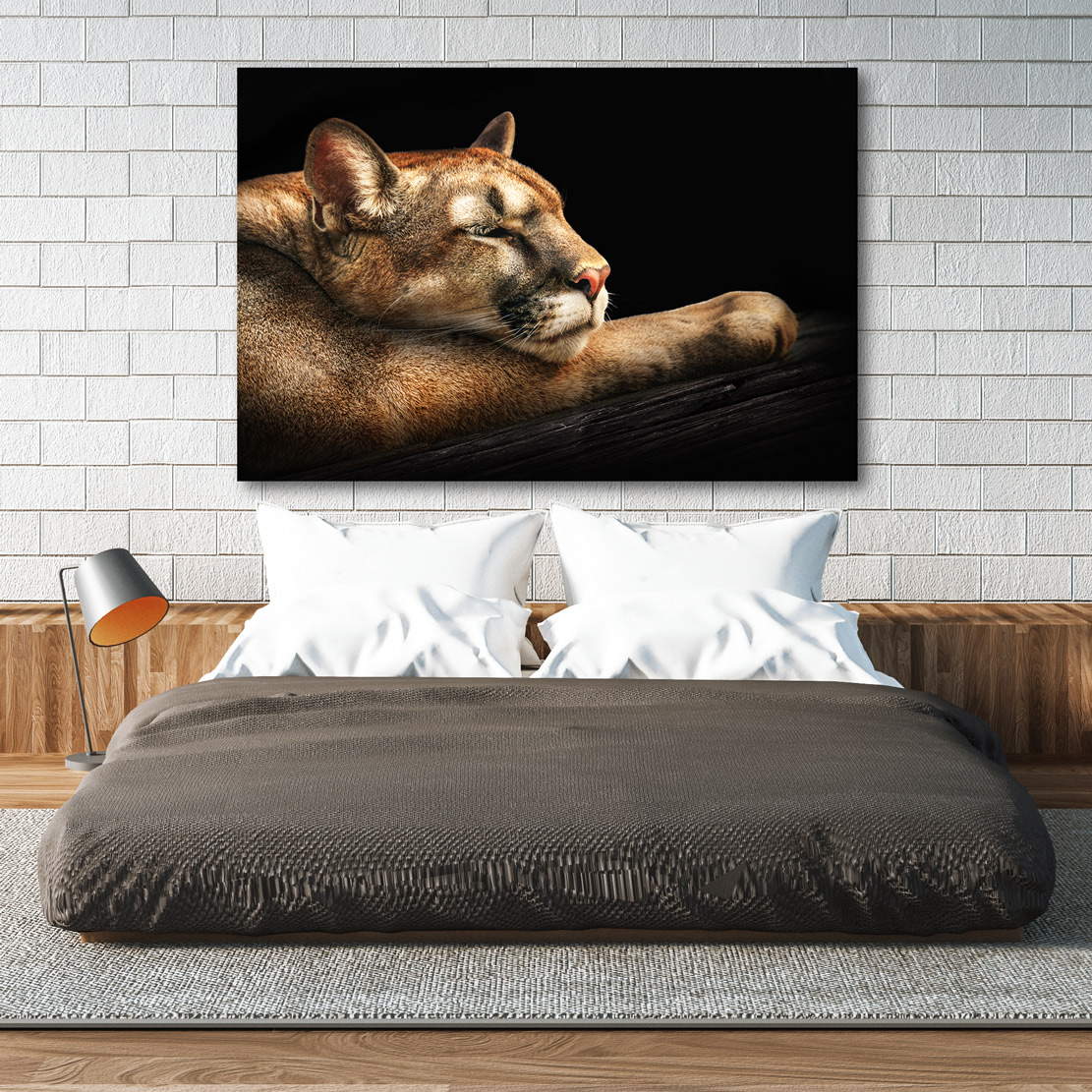 Wandbild Leinwandbild Puma