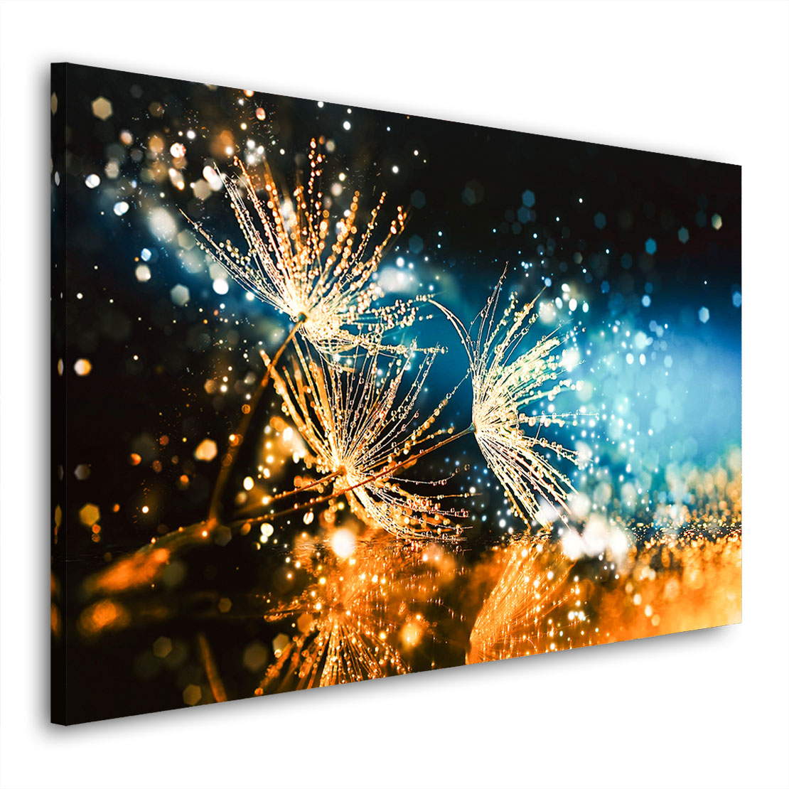 Wandbild Löwenzahn Abstrakt