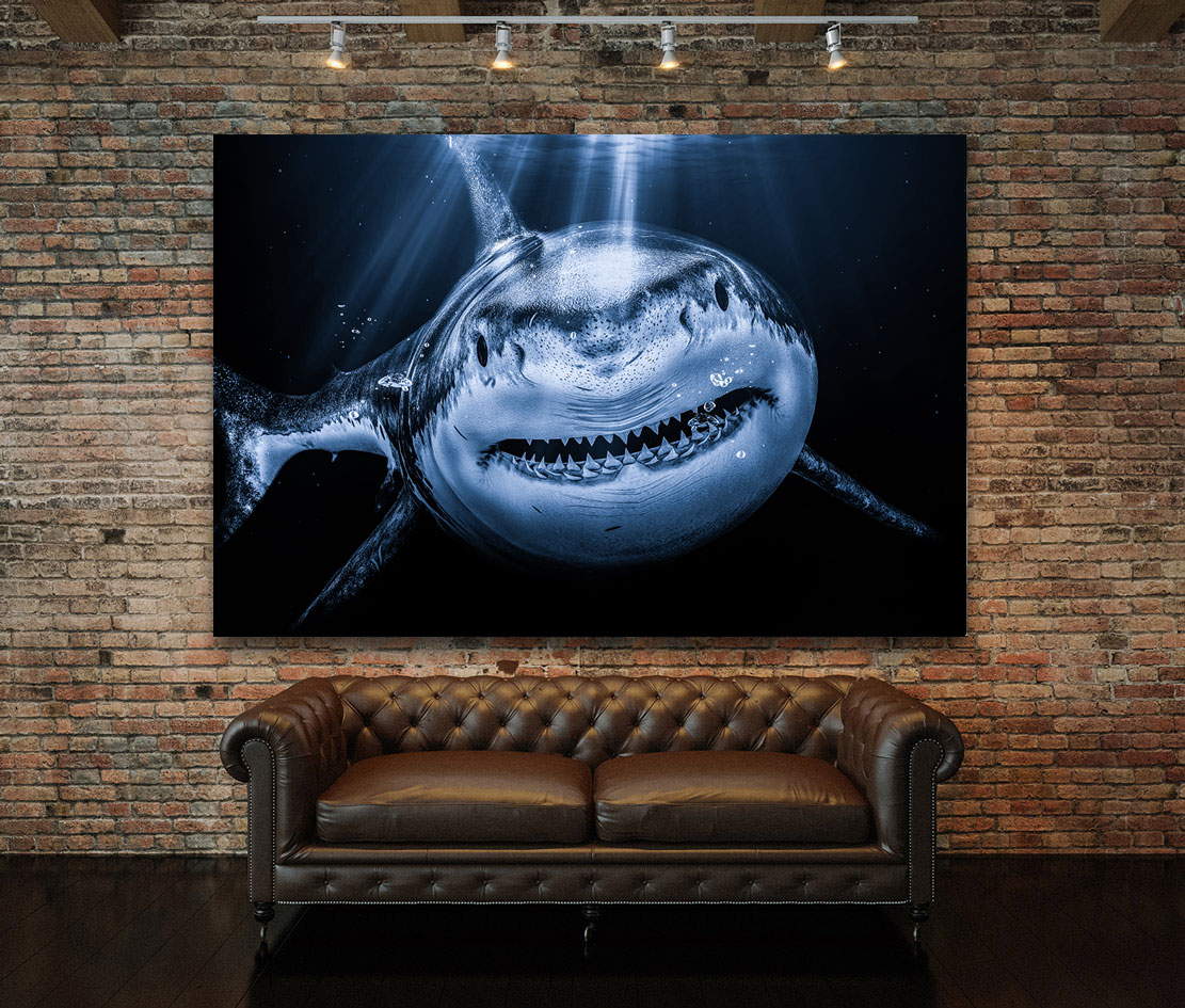 Wandbild Leinwandbild Hai Dark