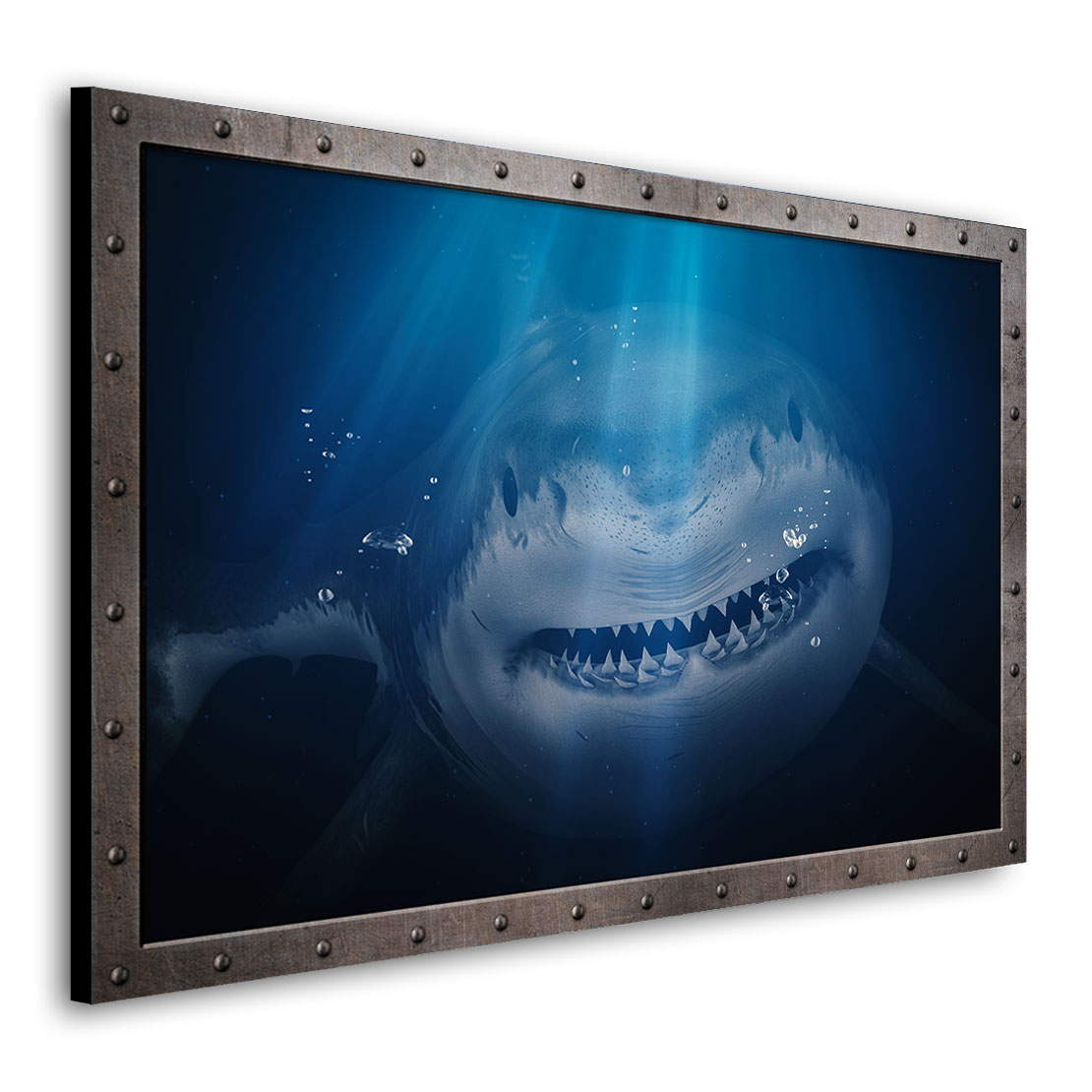 Wandbild Hai Deep Blue