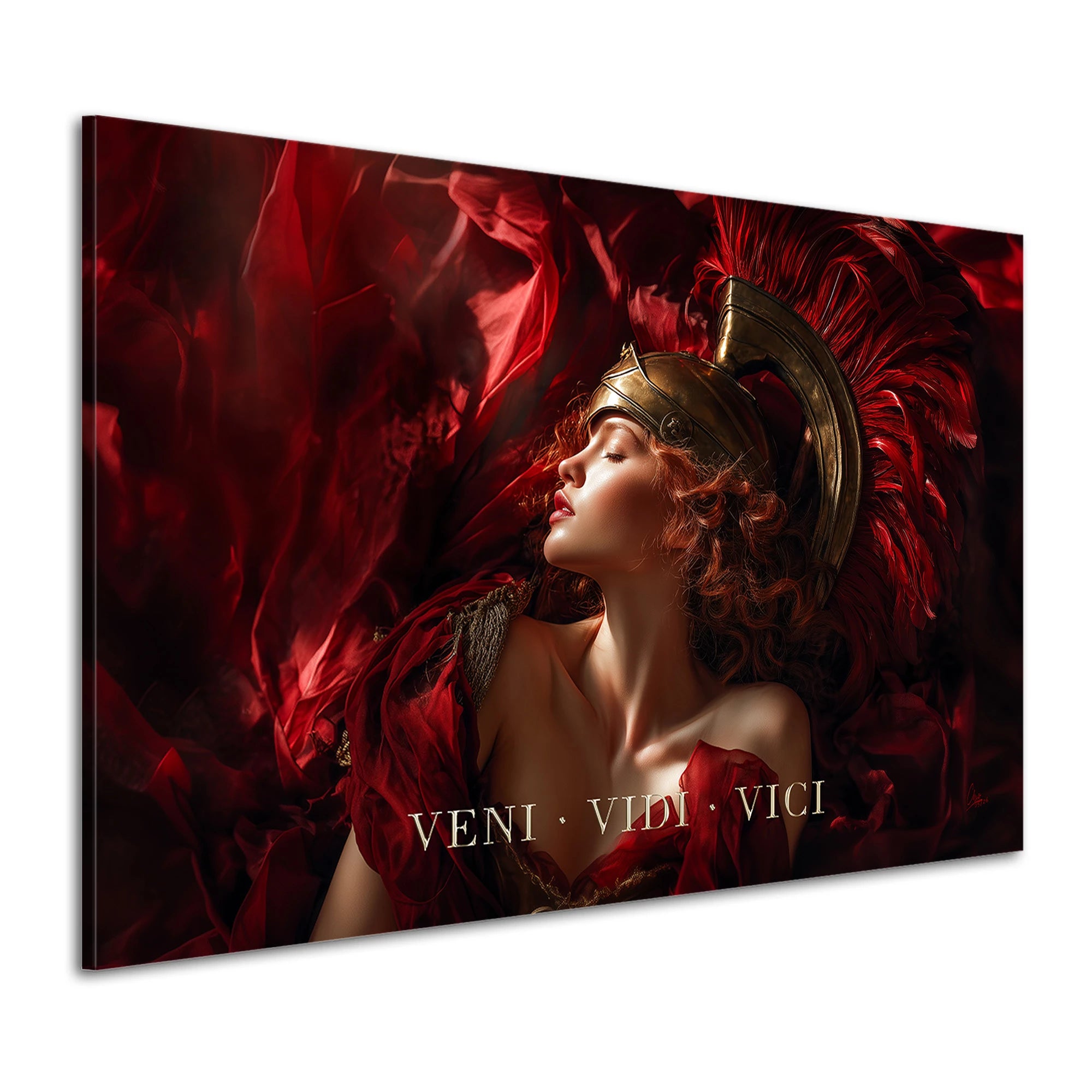 Veni Vidi Vici Wandbild von Menzart
