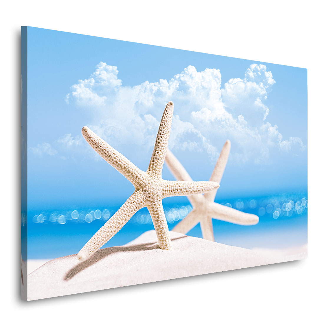 Wandbild Leinwandbild Seestern