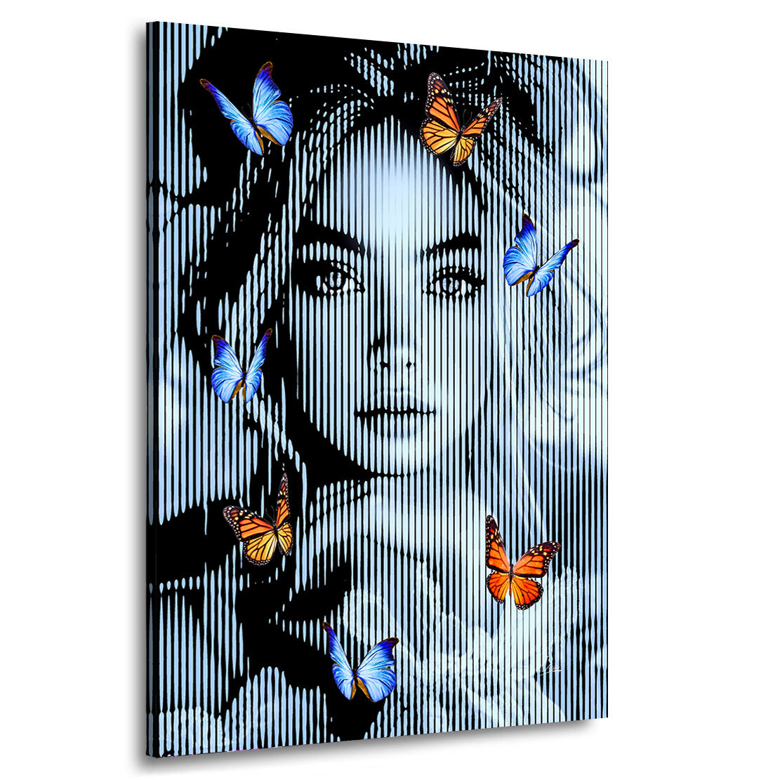 Wandbild Beauty Butterfly