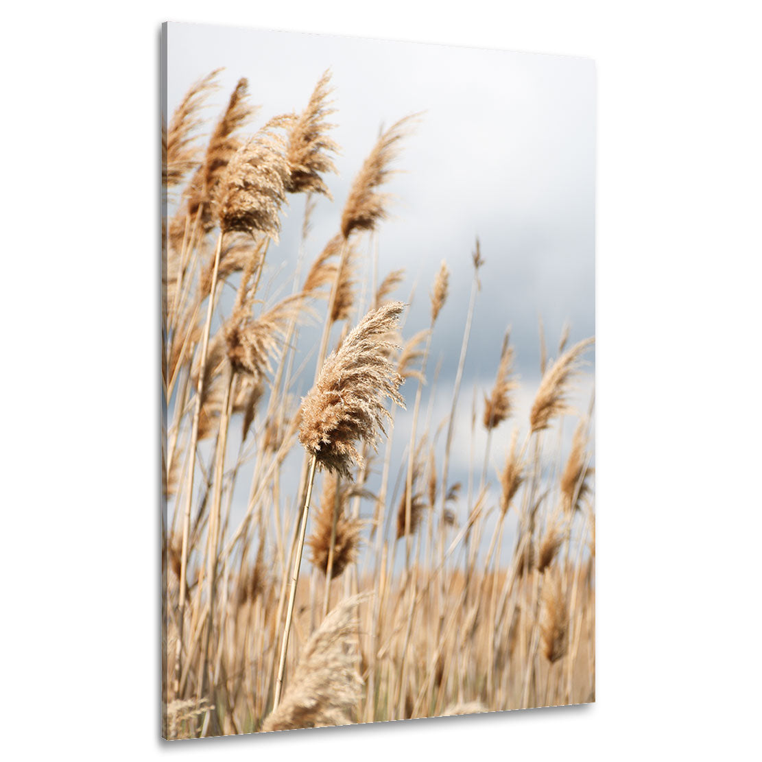 Whispering Dunes Wandbild