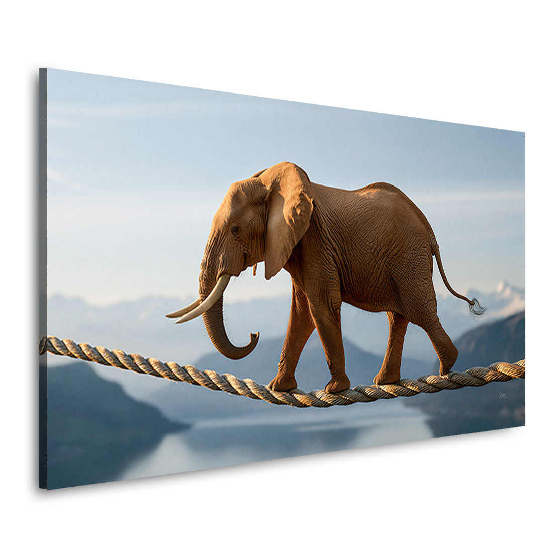 Elefant Balance Wandbild