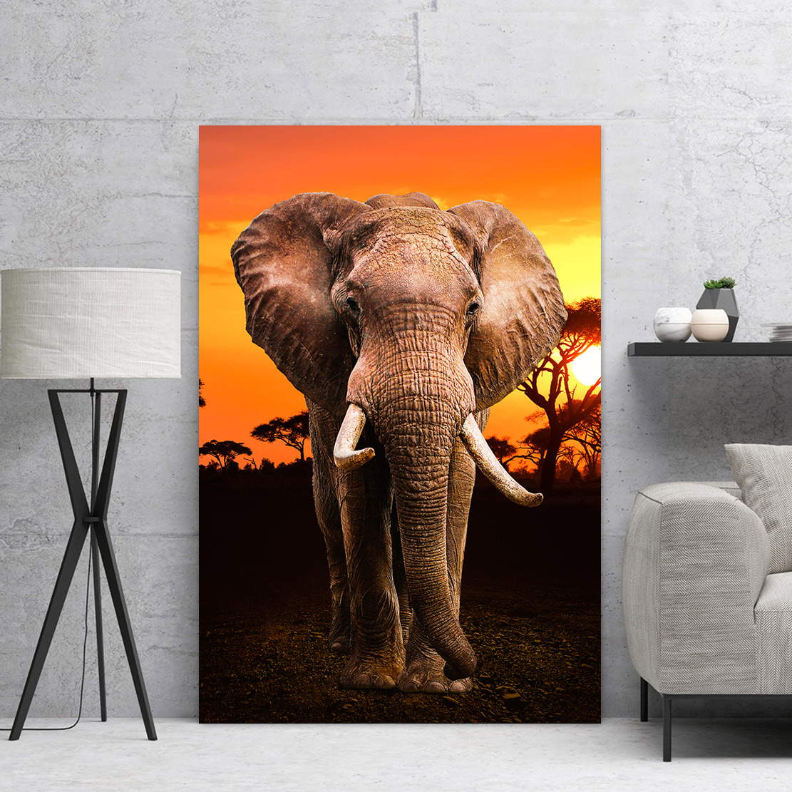 Wandbild Leinwandbild Elefant Desert
