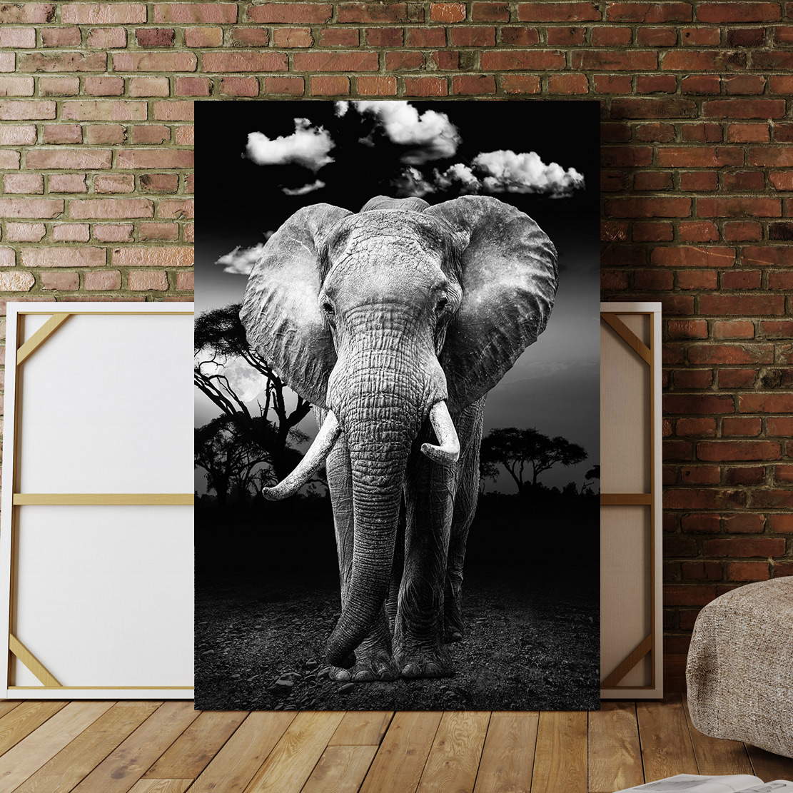 Wandbild Leinwandbild Elefant Black and White