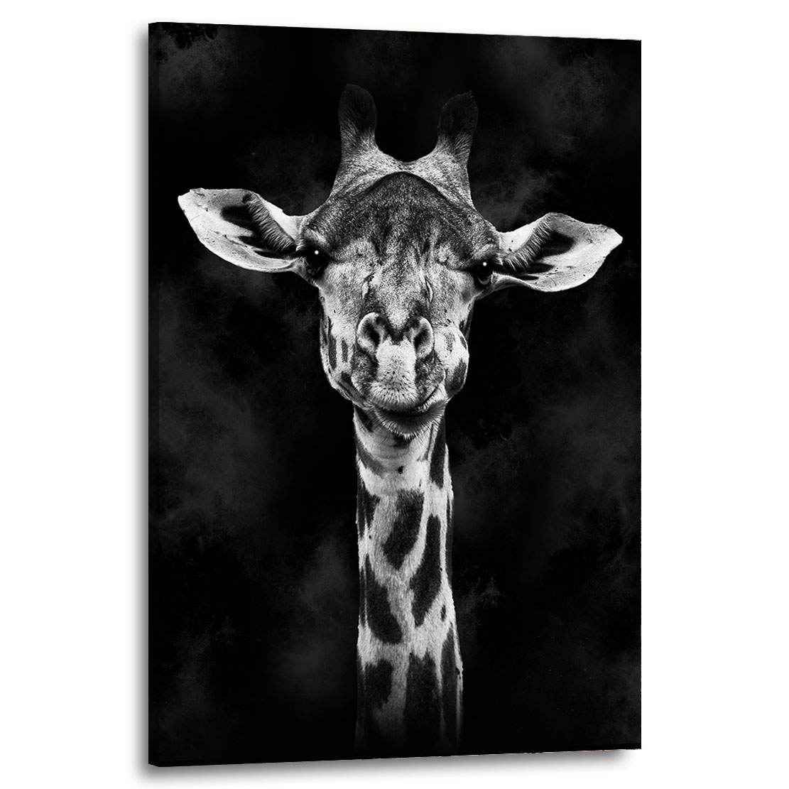 Wandbild Giraffe Black and White