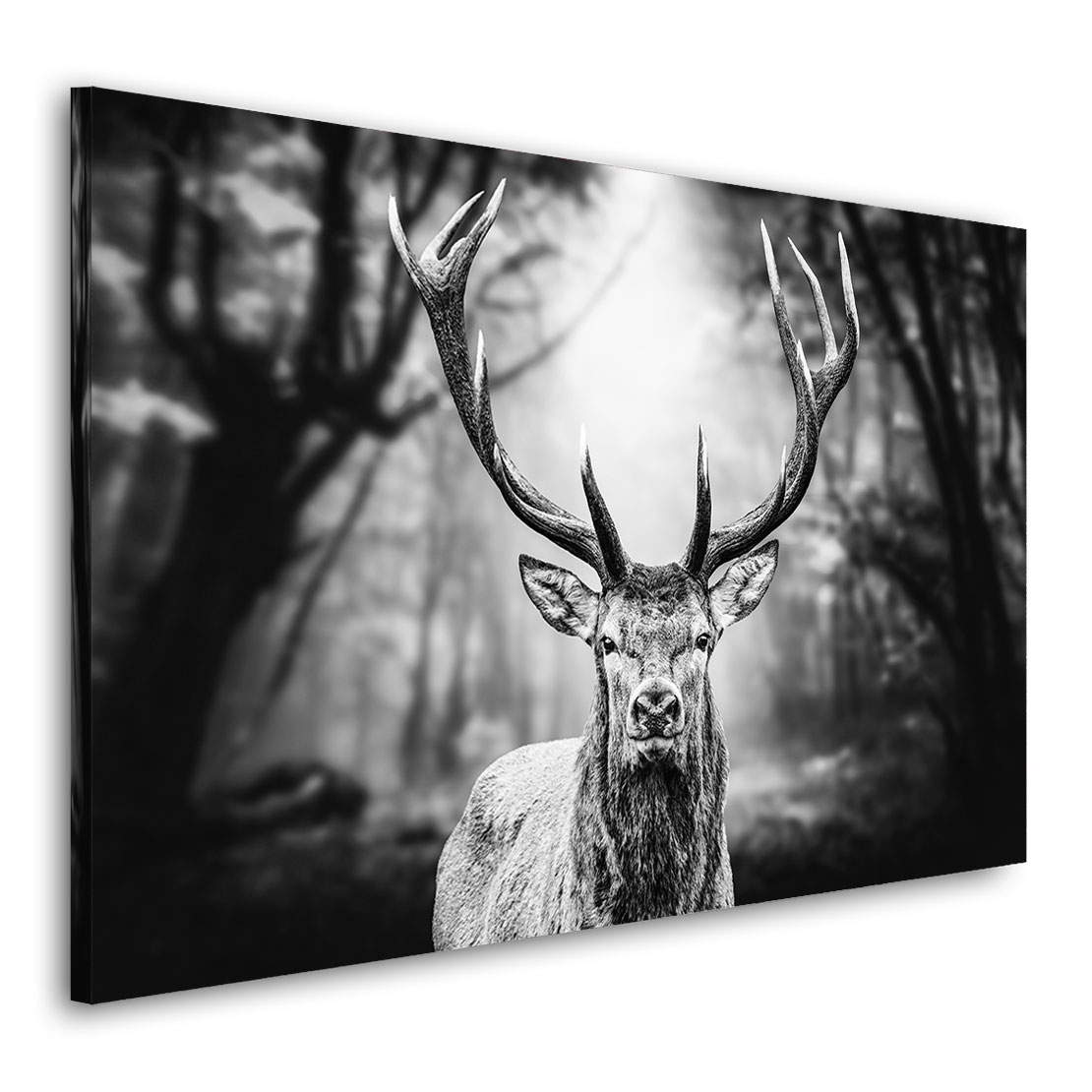 Wandbild Leinwandbild Hirsch Dark Forest