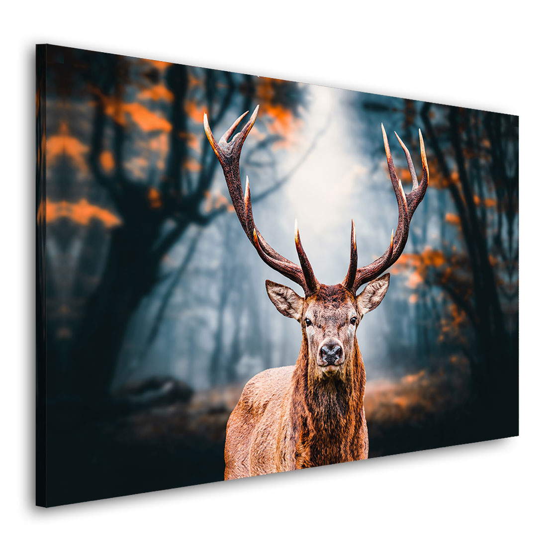 Wandbild Leinwandbild Hirsch Autum