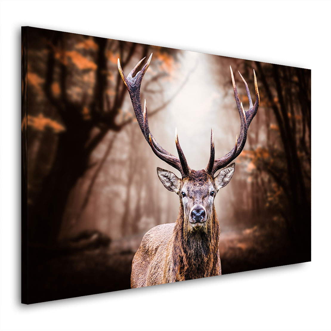 Wandbild Leinwandbild Hirsch Autum Style