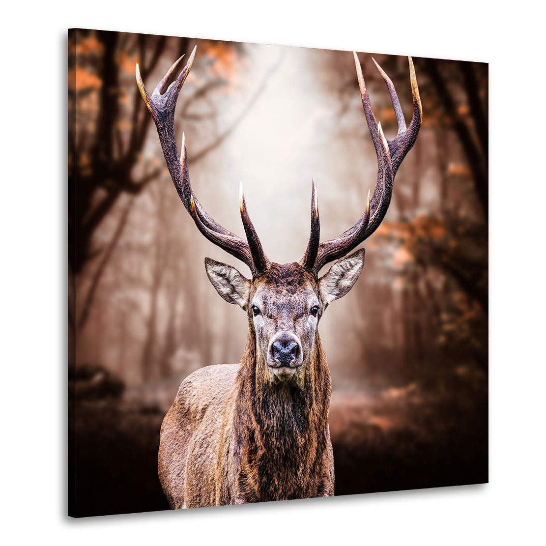 Wandbild Leinwandbild Hirsch im Herbst Stil
