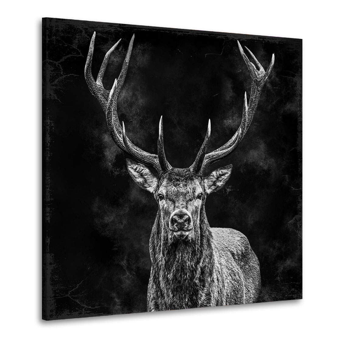 Wandbild Leinwandbild Hirsch Black Smoke