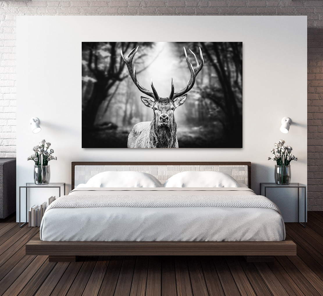 Wandbild Leinwandbild Hirsch Dark Forest