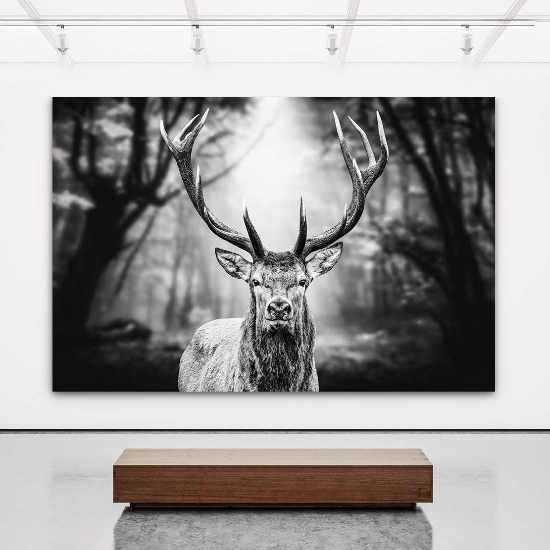 Wandbild Leinwandbild Hirsch Dark Forest