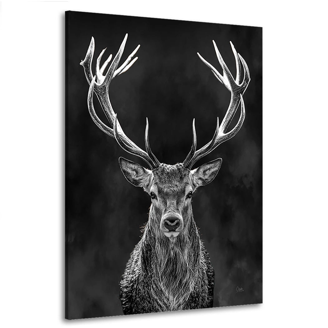 Hirsch Dark Nature Wandbild