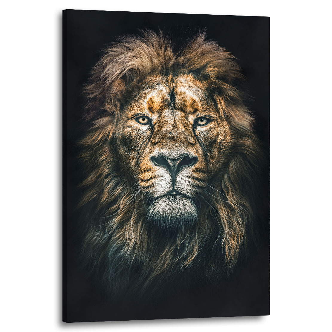 Wandbild Löwe Portrait