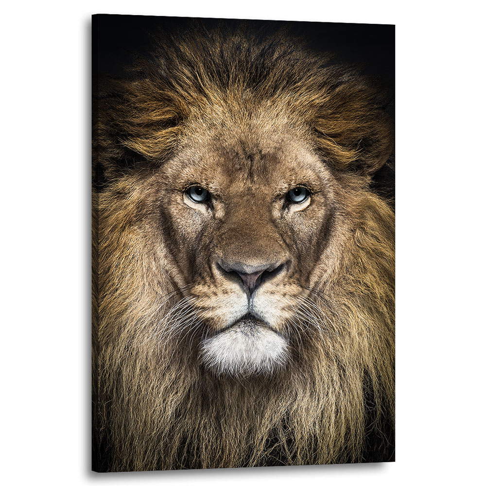 Wandbild Leinwandbild LÃ¶we Portrait