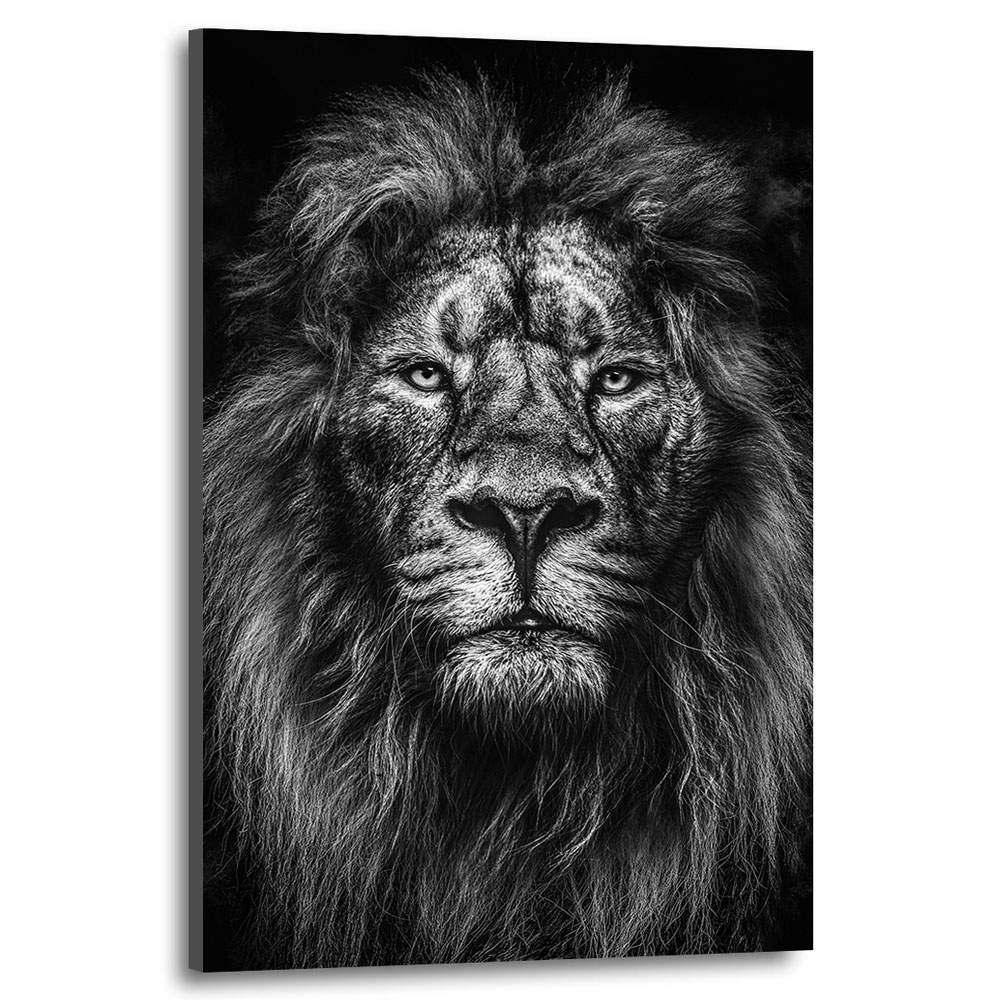 Wandbild Leinwandbild LÃ¶we Modern schwarz weiss