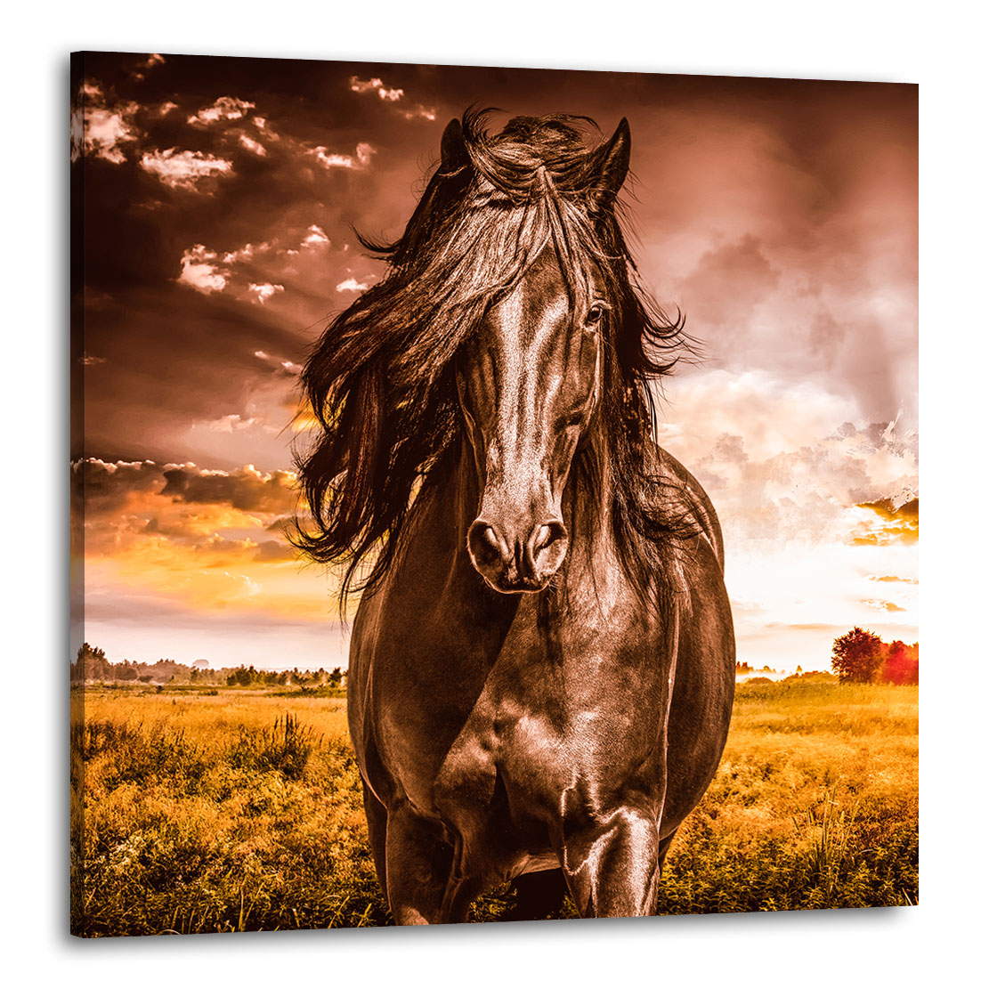 Wandbild Leinwandbild Pferd Vintage Style