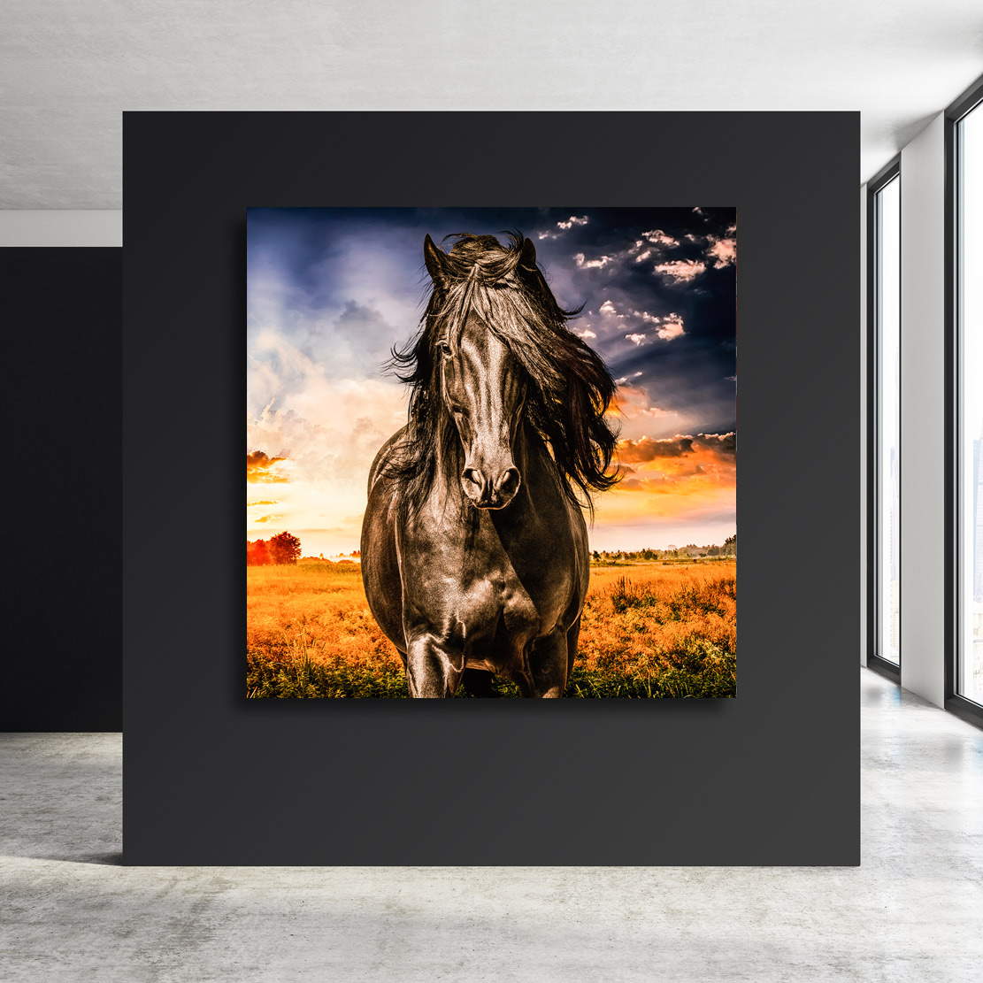 Wandbild Leinwandbild Pferd Natur