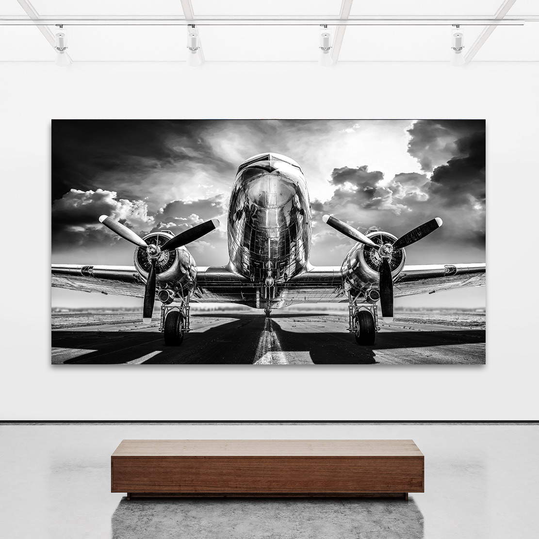 Wandbild Flugzeug DC3