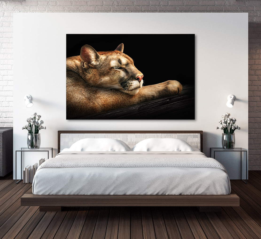 Wandbild Leinwandbild Puma