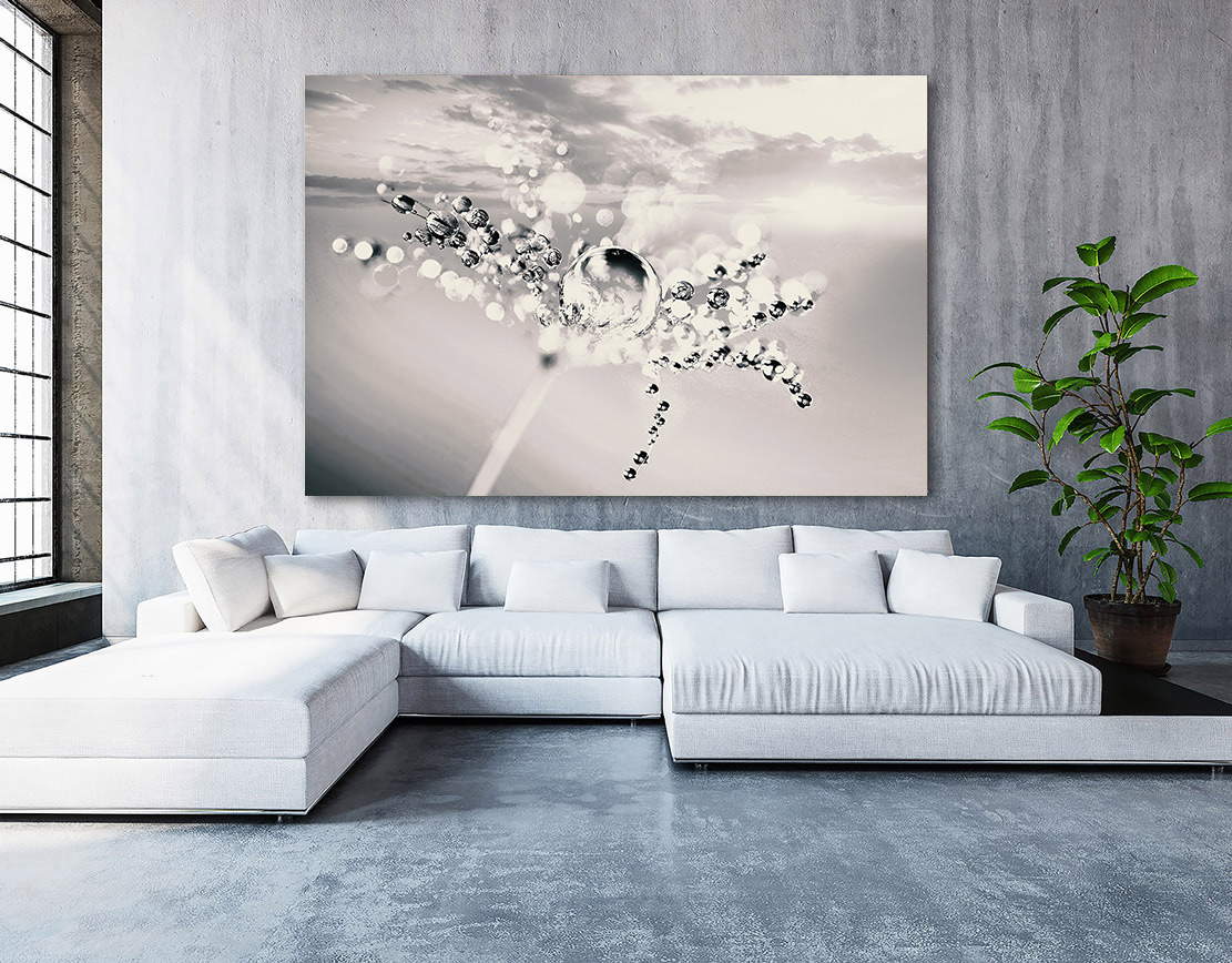 Wandbild Leinwandbild Pusteblume Löwenzahn