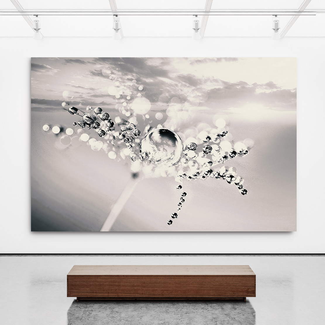 Wandbild Leinwandbild Pusteblume Löwenzahn