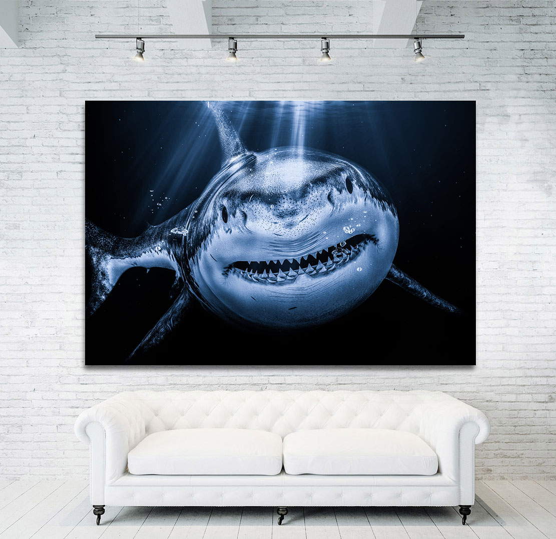 Wandbild Leinwandbild Hai Dark