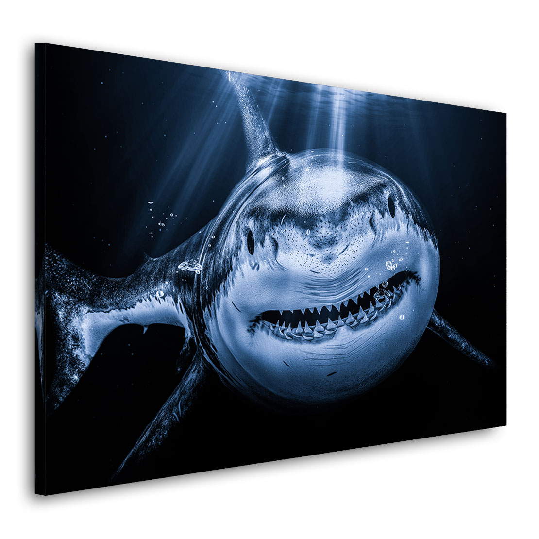 Wandbild Leinwandbild Hai Dark