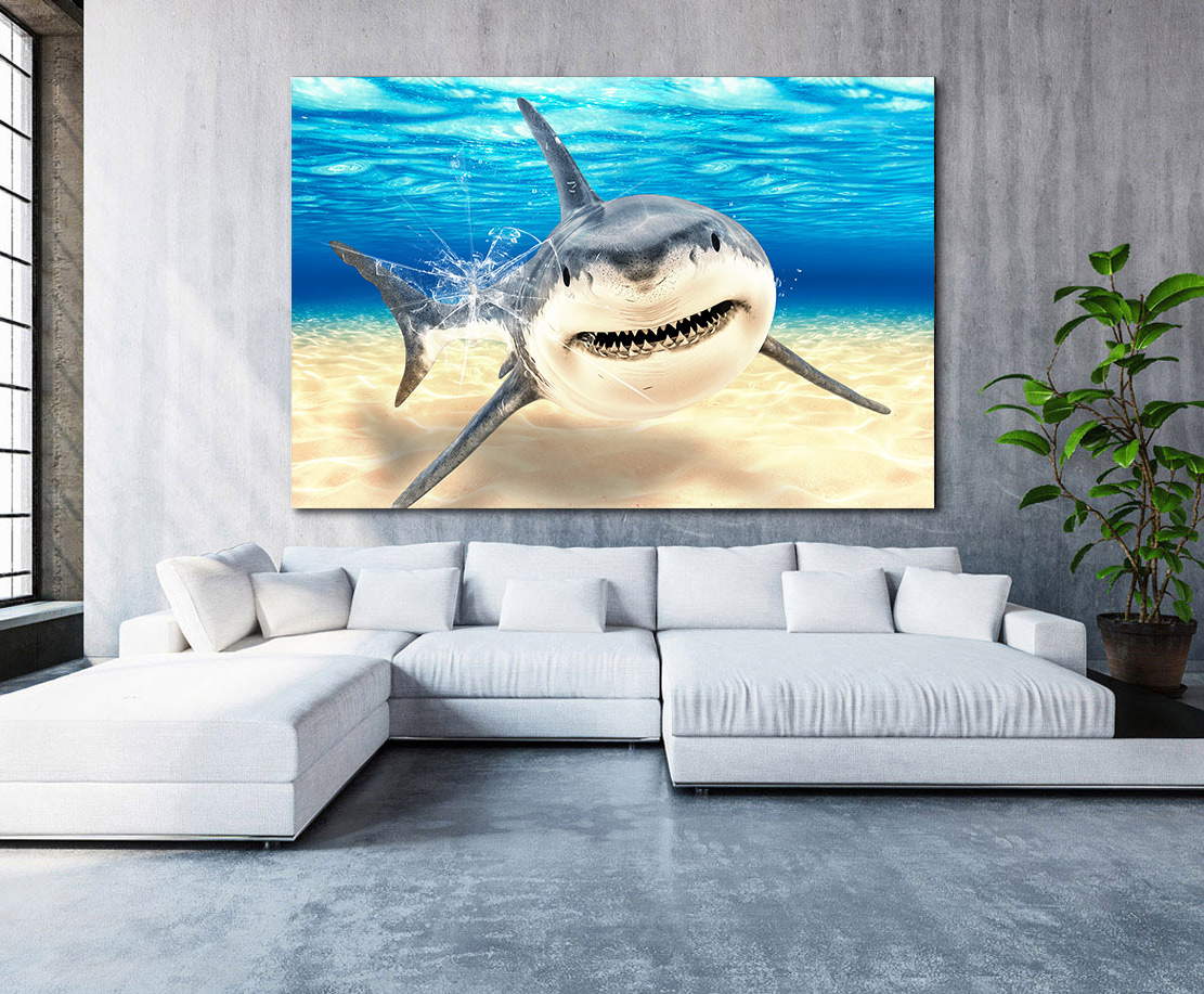 Wandbild Leinwandbild Hai