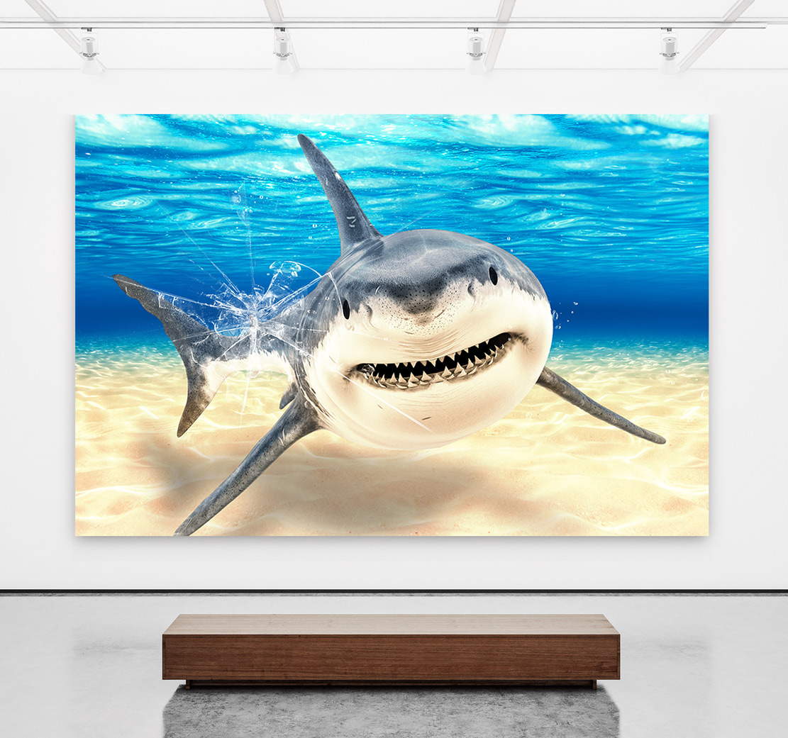 Wandbild Leinwandbild Hai