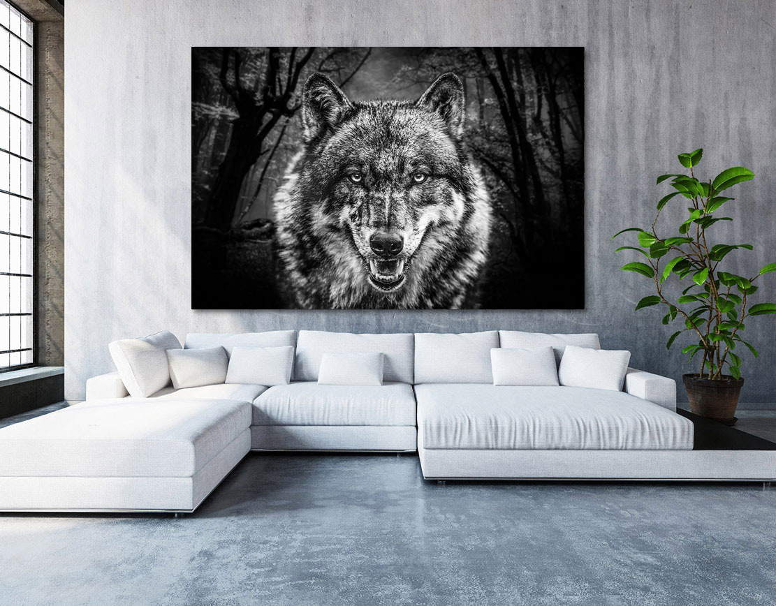 Wandbild Leinwandbild Wolf Black and White